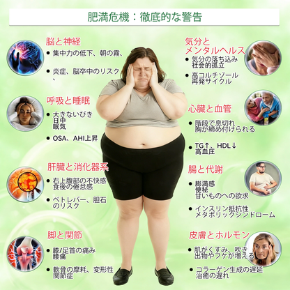 【腰腹管理・日常保養推薦】Luxarise®👩‍⚕️🍋‍🟩辣木 × 小檗鹼 10-IN-1 高效奈米微針保養貼片 每日1片，輕鬆融入生活習慣，幫助維持理想體態與活力狀態