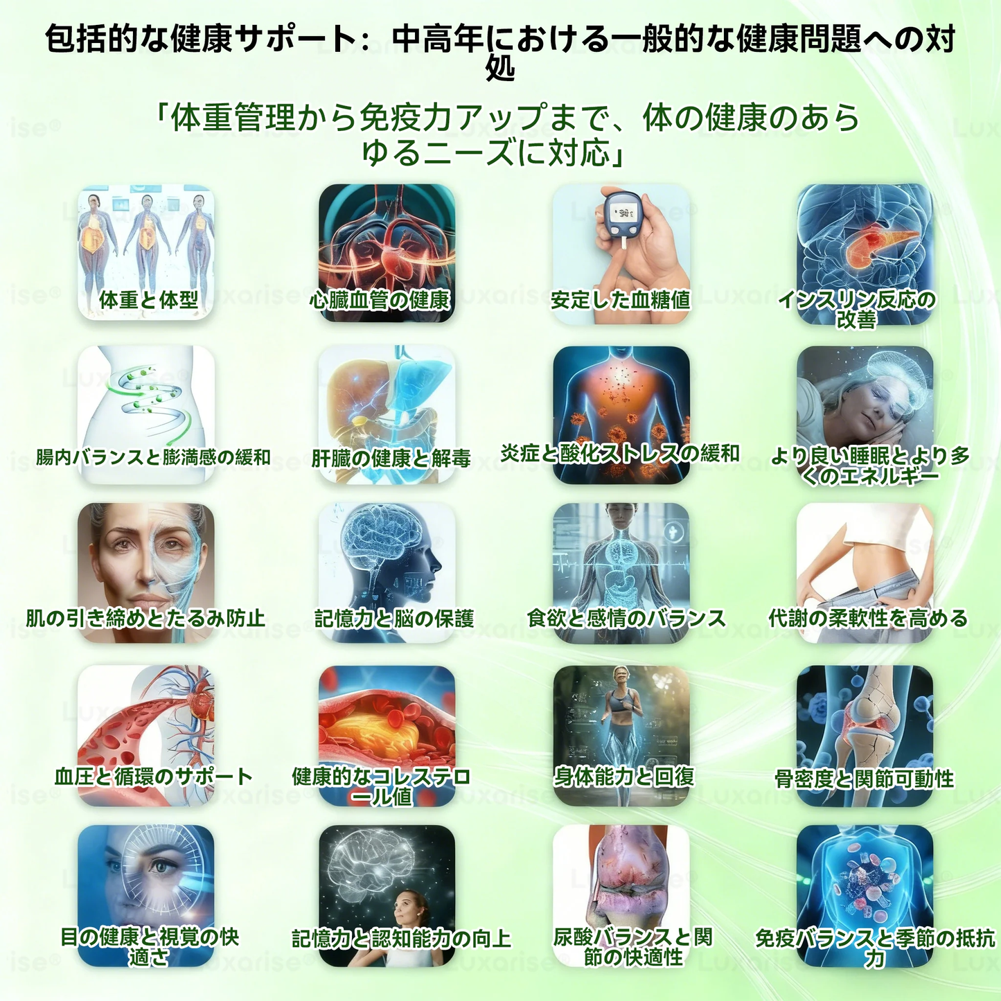 【腰腹管理・日常保養推薦】Luxarise®👩‍⚕️🍋‍🟩辣木 × 小檗鹼 10-IN-1 高效奈米微針保養貼片 每日1片，輕鬆融入生活習慣，幫助維持理想體態與活力狀態